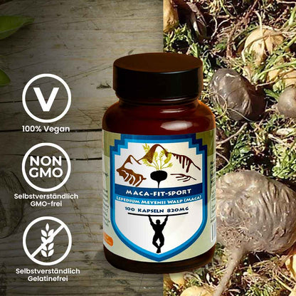 Maca Fit Black 100